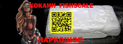 СК Новодвинск
