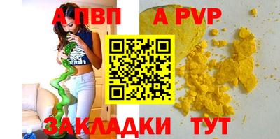 СК Новодвинск