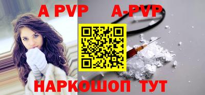 СК Новодвинск