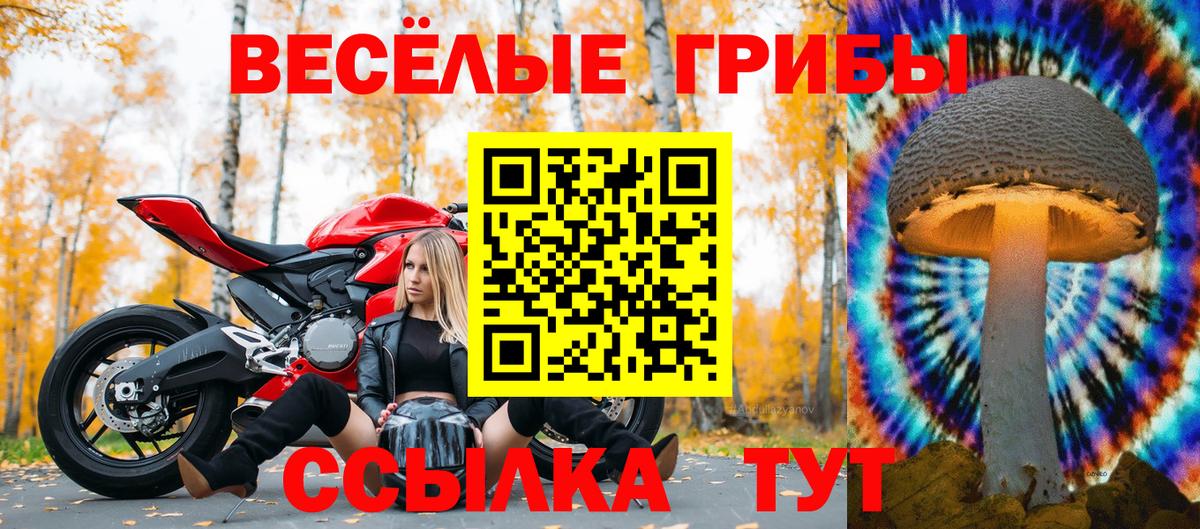 Серов  Галлюциногенные грибы MAGIC MUSHROOMS  Вход с VPN 